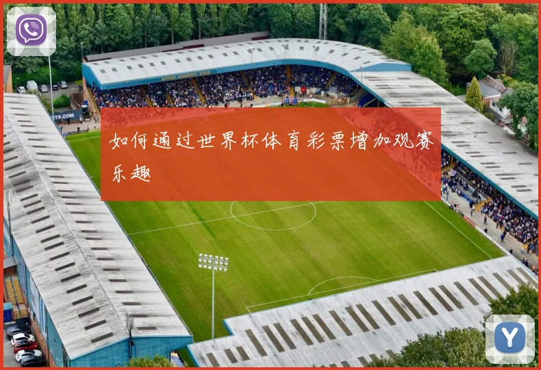 如何通过世界杯体育彩票增加观赛乐趣