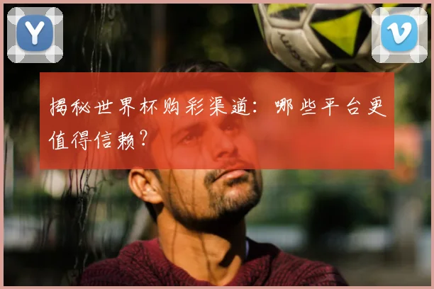 揭秘世界杯购彩渠道：哪些平台更值得信赖？