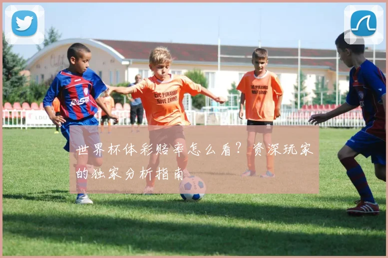 世界杯体彩赔率怎么看?资深玩家的独家分析指南