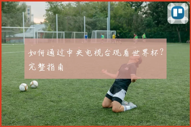 如何通过中央电视台观看世界杯？完整指南