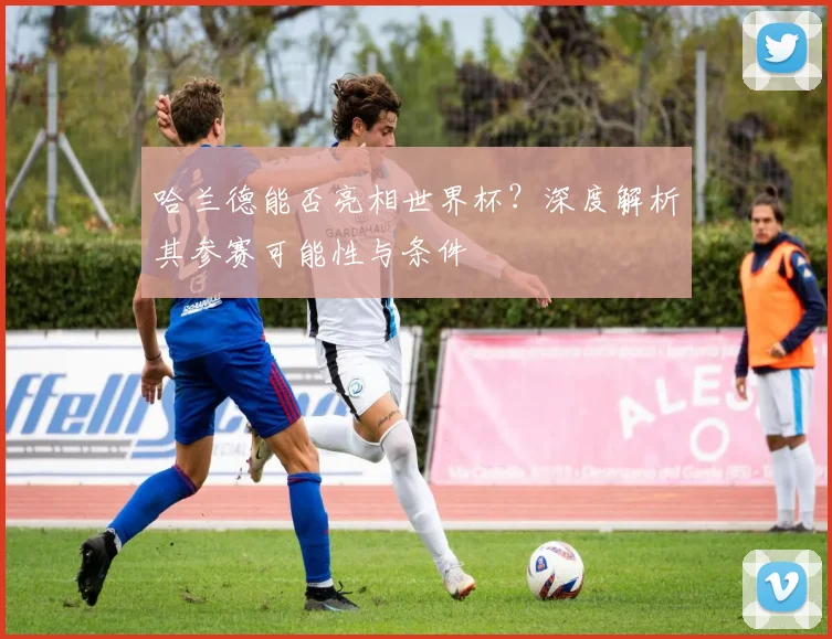 哈兰德能否亮相世界杯?深度解析其参赛可能性与条件
