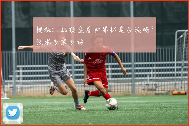揭秘：机顶盒看世界杯是否流畅？技术专家专访