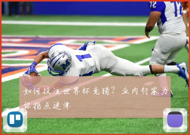 如何投注世界杯竞猜？业内行家为你指点迷津